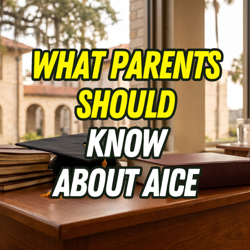 What is the 'AICE Program' in St. Johns County schools?