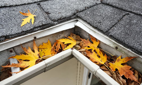 Gutter Maintenance That Could Save You Thousands!