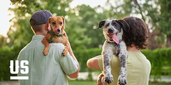 Pet Owners: Features That Quietly Add Value To &hellip;
