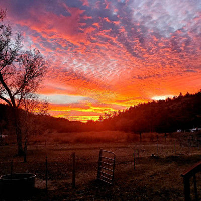 IMG_20201024_183011_708