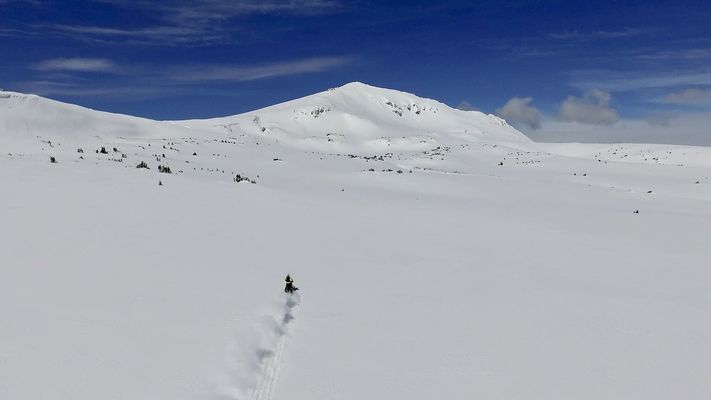 AE64ED14-2BEF-4B28-B7C3-27C34656CBEE_1_201_a