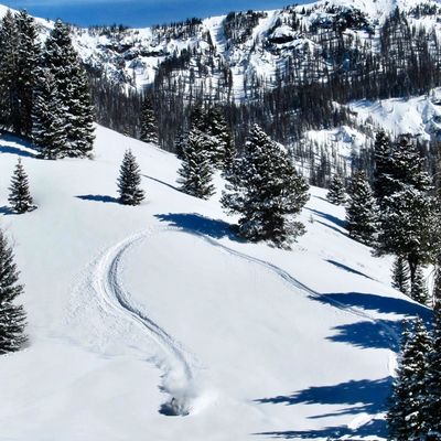 IMG_20190213_071848_055