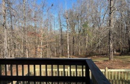 HD_1765482363792_IMG_6295