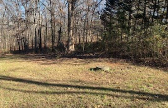 HD_1765482370176_IMG_6321