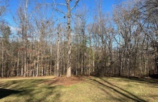 HD_1765482370598_IMG_6322