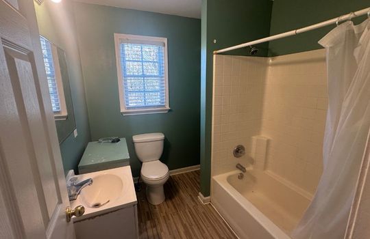 Untitled design (12)