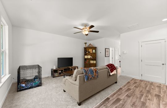mls_011 (12)