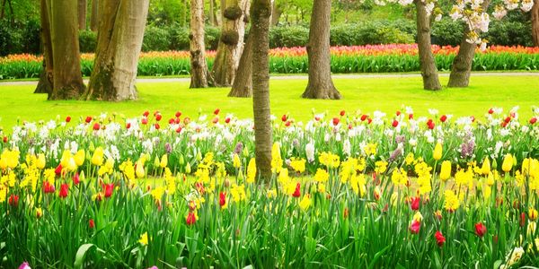 Shake Off the Winter Blues