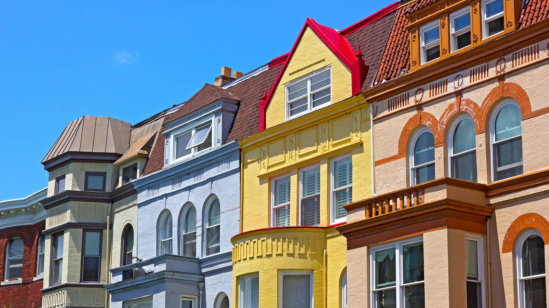 the next step img (5)