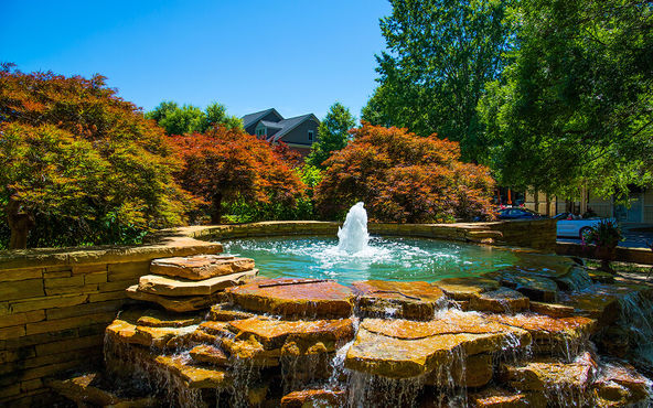 Alpharetta Img 1 (1)