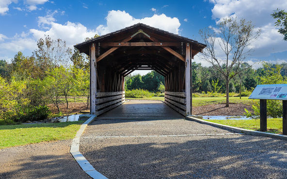 Alpharetta Img 3 (1)