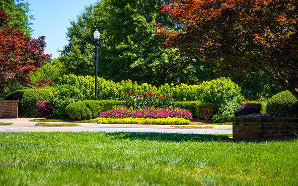 Alpharetta Img 5 (1)