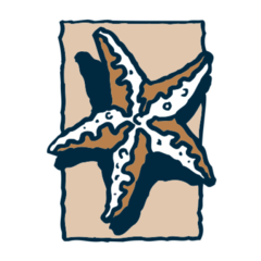 Star Team Real Estate