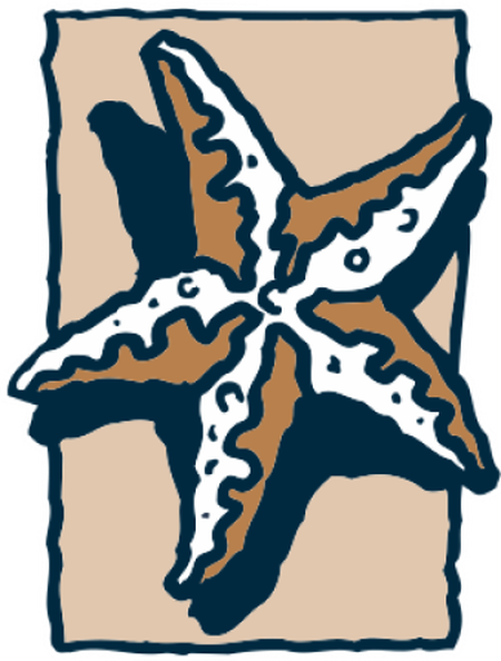 star team logo color (1)