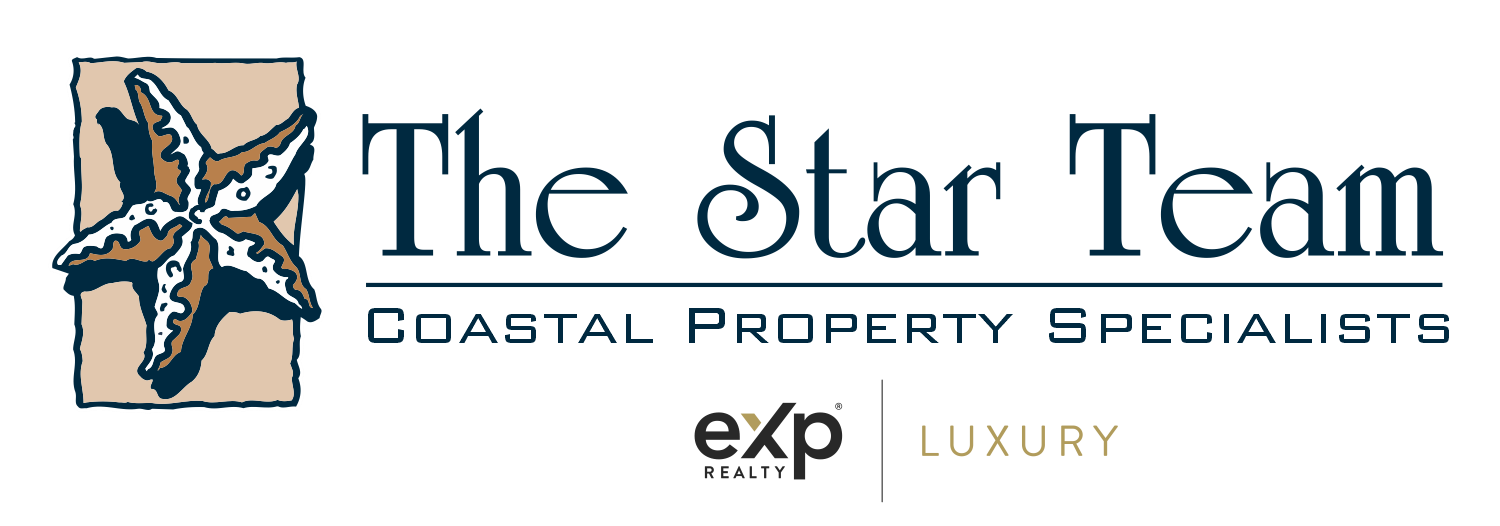 star team logo color