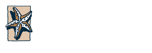 star team logo white