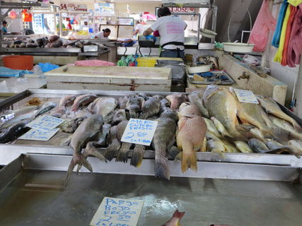 Fish Market 2