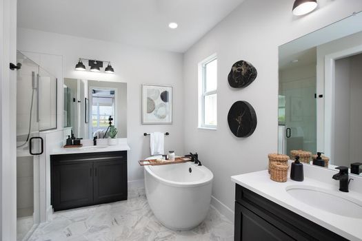 Regency-at-Babcock-Ranch-Lago_Birchwood_MasterBathroom01_920