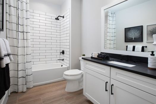 Regency-at-Babcock-Ranch-Lago_Flatwood_GuestBathroom01_920