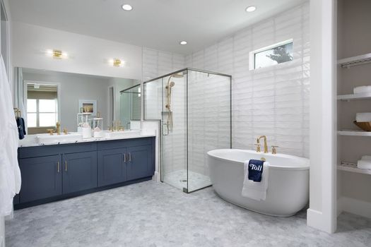 Regency-at-Babcock-Ranch-Sol_Rainbow_PrimaryBathroom_920