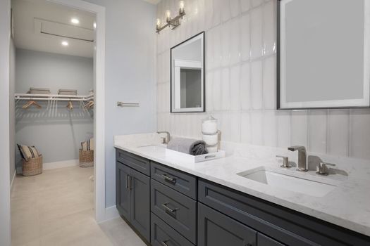 Regency-at-Babcock-Ranch-Terra_Meranti_Bathroom02_920