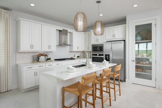 Regency-at-Babcock-Ranch-Terra_Meranti_Kitchen01_920