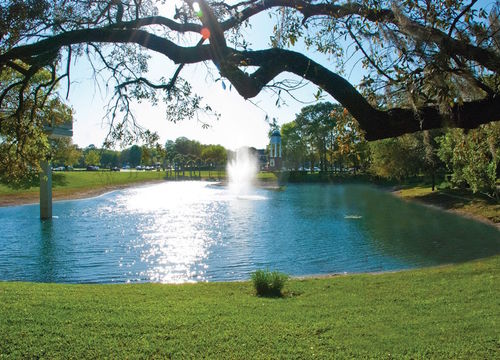 26232934_1671722052892387SQ35896