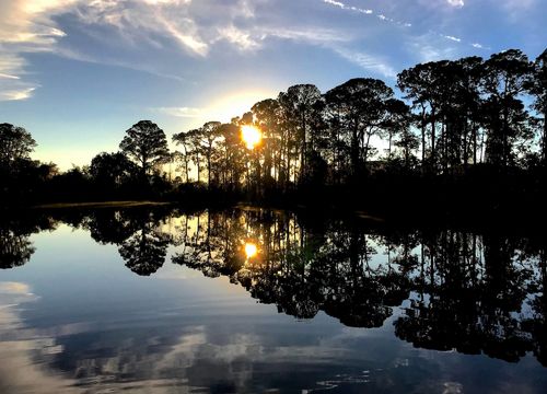 shutterstock_1306326571(1)