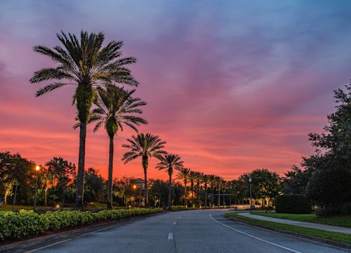 shutterstock_1398372599(1)