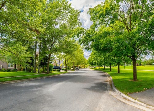 A,Shady,Tree,Lined,Street,In,A,Subdivision,Of,Homes
