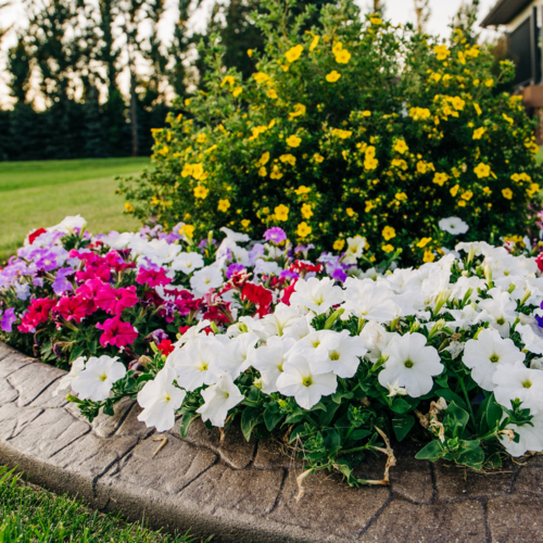 Your Ultimate Summer Home Maintenance Checklist for 2025