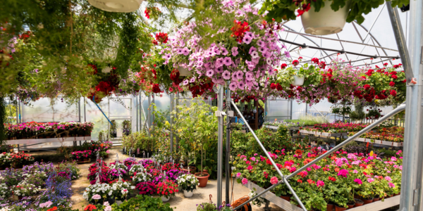 The Best Family-Owned Garden Centers in Rochester, NY