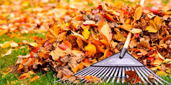 Fall Home Maintenance Checklist 2025
