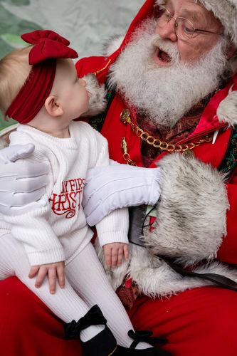 Bespoke Insiders 2024 // RHV