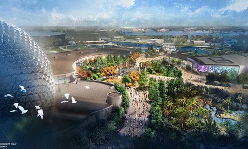 What’s New in Disney World in 2022-2024