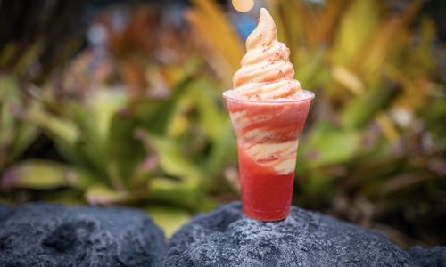 Best Snacks in Disney for 2023