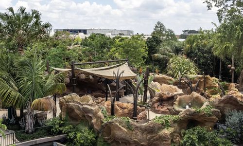 Journey of Water Inspired by Moana enters…