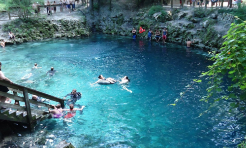 Tips for Taking a Blue Springs State Park…
