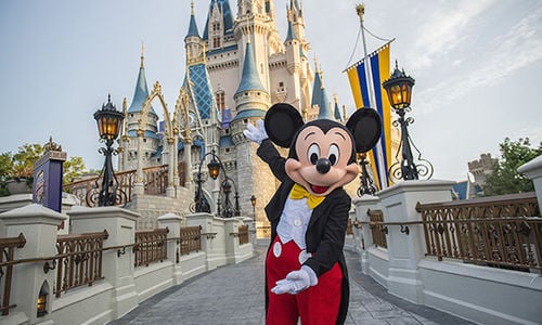 New Attractions & Experiences: What’s Op…