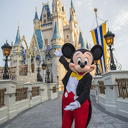 New Attractions & Experiences: What’s Opening or Coming Soon in 2026?