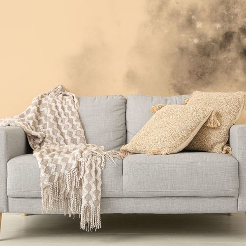 Detecting & Preventing Mold in your Florida Home