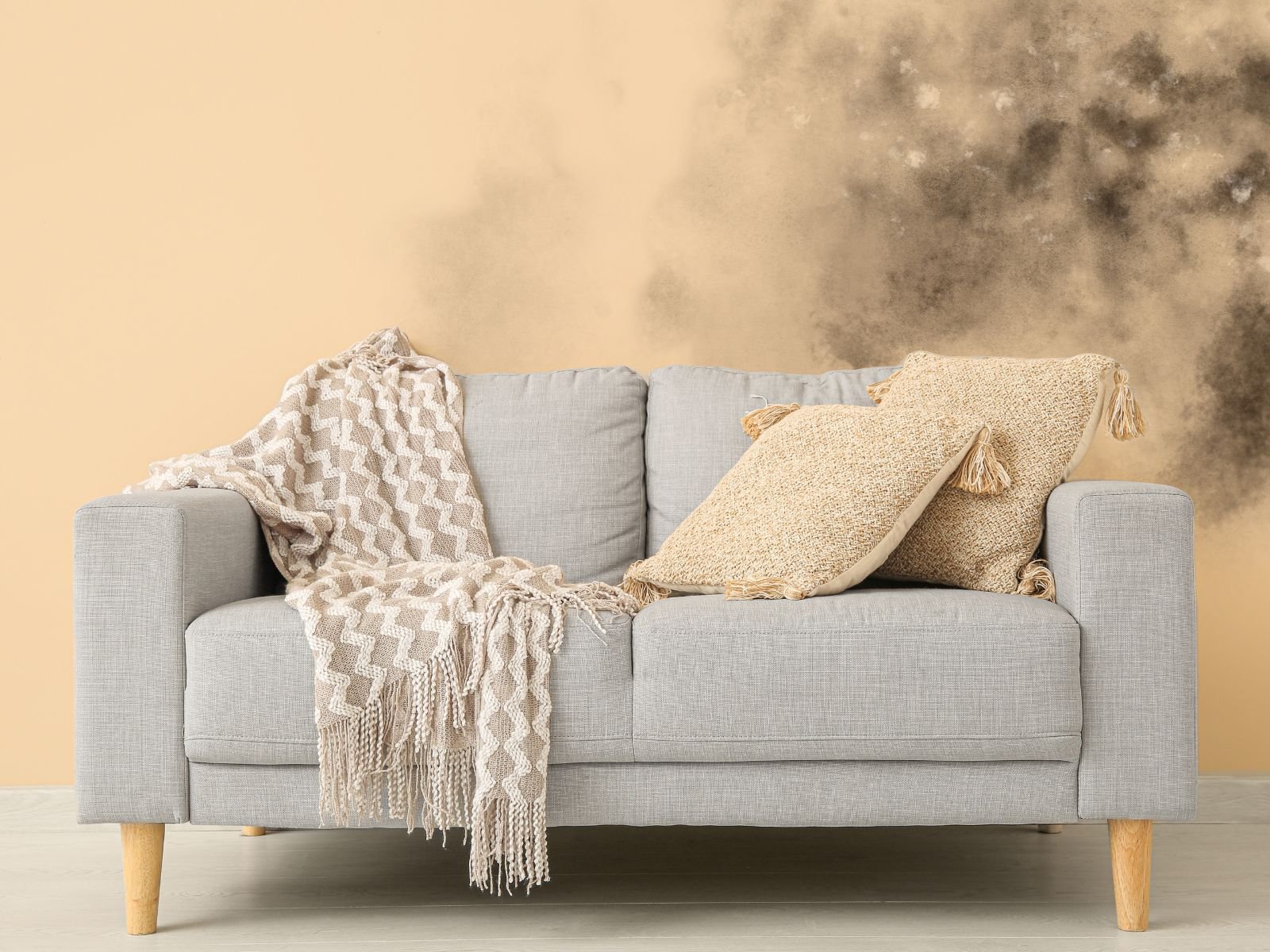 detecting mold