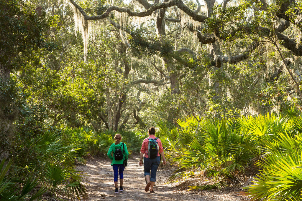 Atlantic Salt Realty Hiking Cumberland Island