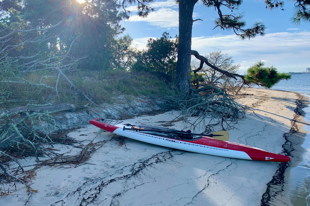Atlantic Salt Realty Paddle Board
