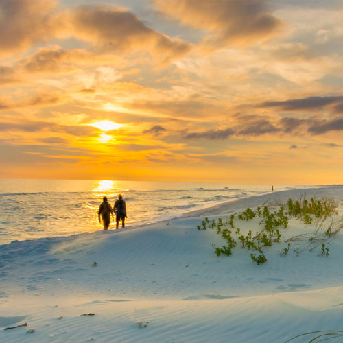 Your Dream Home Starts with a Discovery Tour