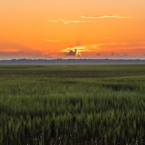 Dockside Dreams: The Benefits of Owning a Deepwater Homesite