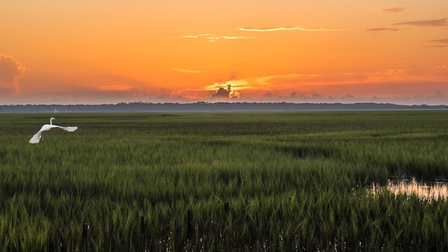 Atlantic Salt Realty Deepwater homesite Sunrise