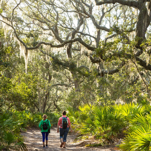 Walk This Way: Best Places to Hike on the Georgia Coast