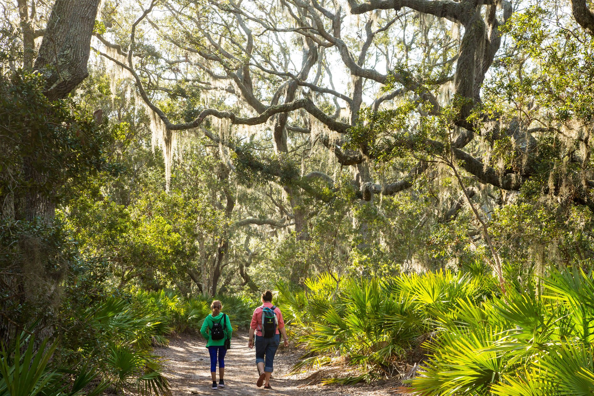 Atlantic Salt Realty Hiking Cumberland Island