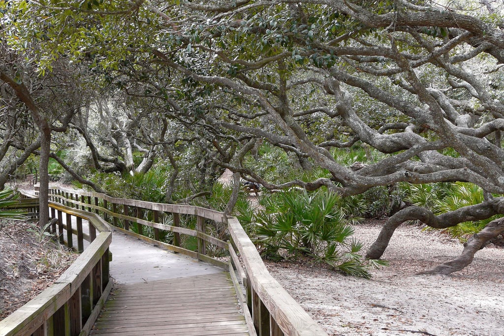 Atlantic Salt Realty hike Cumberland Island National Seashore